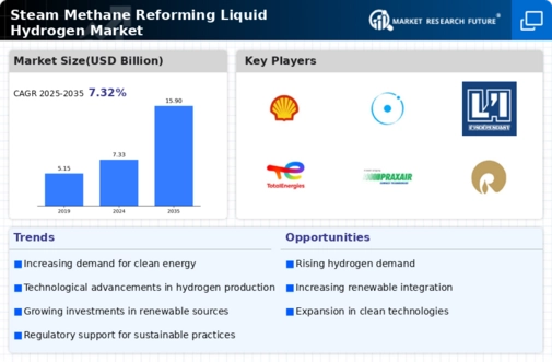 Steam Methane Reforming Liquid Hydrogen Market Infographic