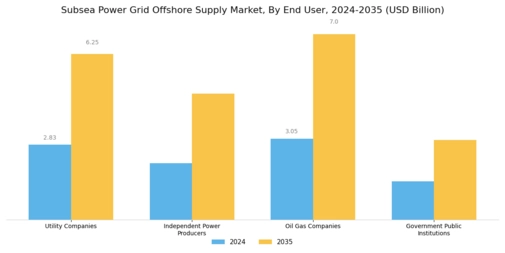 Subsea Power Grid Offshore Supply Market Segment Image 3