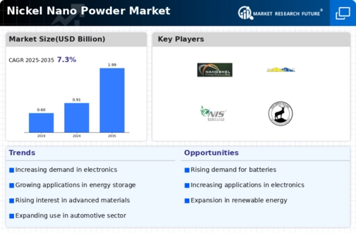 Nickel Nano Powder Market
 Infographic