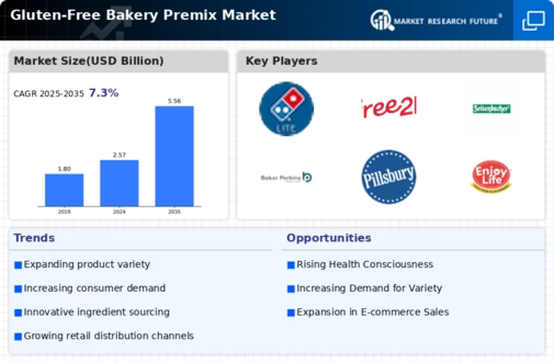 Gluten-Free Bakery Premix Market Infographic
