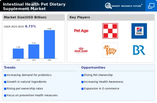 Intestinal Health Pet Dietary Supplement Market    Infographic