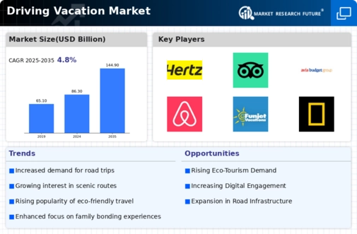 Driving Vacation Market Infographic