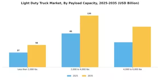 Light Duty Truck Market Segment Image 1