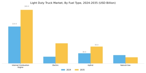 Light Duty Truck Market Segment Image 0