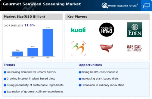 Gourmet Seaweed Seasoning Market Infographic