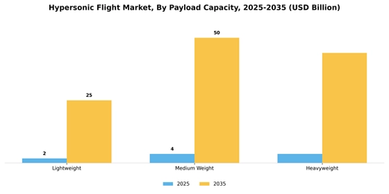 Hypersonic Flight Market  Segment Image 1