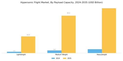 Hypersonic Flight Market  Segment Image 3