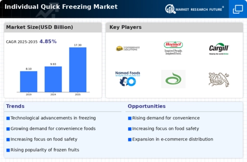 Individual Quick Freezing Market Infographic
