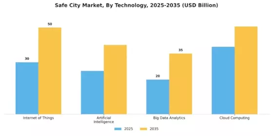 Safe City Market  Segment Image 1