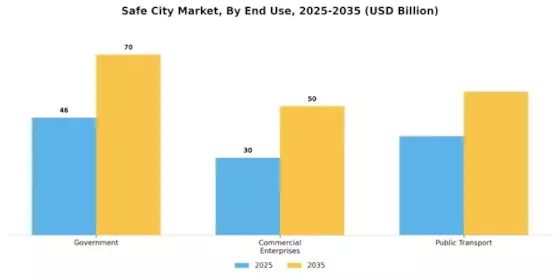 Safe City Market  Segment Image 3
