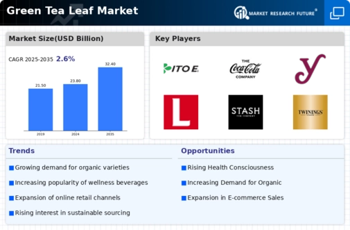 Green Tea Leave Market Infographic