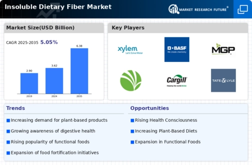 Insoluble Dietary Fiber Market Infographic