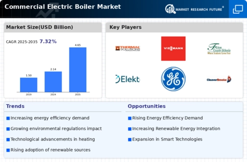 Commercial Electric Boiler Market Infographic