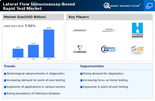 Lateral Flow Immunoassay Based Rapid Test Market Infographic