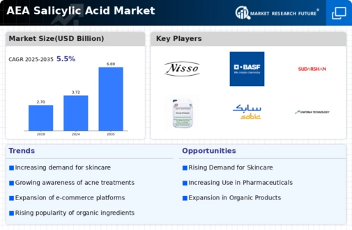 AEA Salicylic Acid Market Infographic
