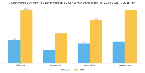 E Commerce Buy Now Pay Later Market Segment Image 1