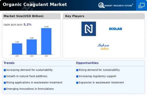 Organic Coagulant Market
 Infographic