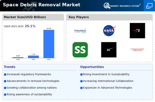 Space Debris Removal Market Infographic