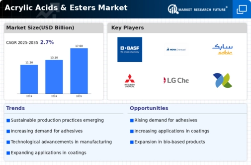 Acrylic Acids Esters Market Infographic