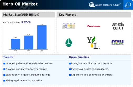 Herb Oil Market Infographic