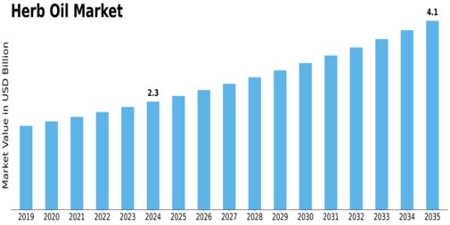Herb Oil Market Size