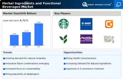 Herbal Ingredients and Functional Beverages Market Infographic