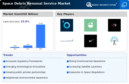 Space Debris Removal Service Market
 Infographic