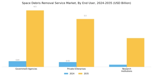 Space Debris Removal Service Market
 Segment Image 2