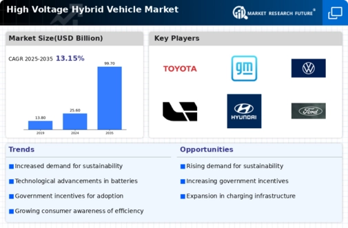 High Voltage Hybrid Vehicle Market Infographic