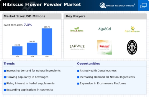 Hibiscus Flower Powder Market Infographic
