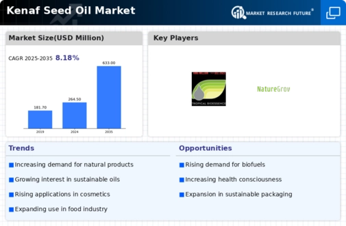 Kenaf Seed Oil Market  Infographic