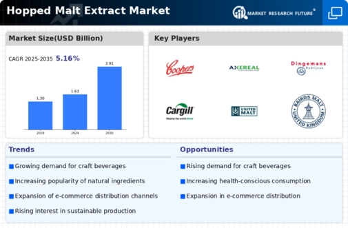 Hopped Malt Extract Market Infographic