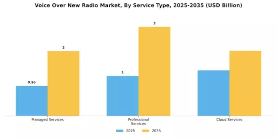 Voice Over New Radio Market
 Segment Image 1