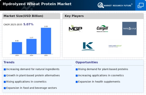 Hydrolyzed Wheat Protein Market Infographic