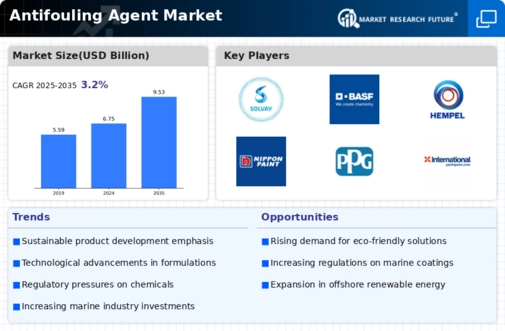 Antifouling Agent Market Infographic