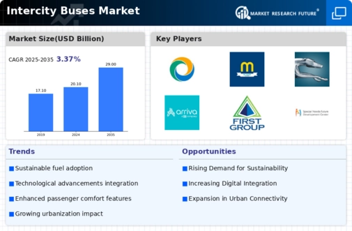 Intercity Buses Market Infographic
