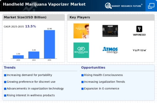 Handheld Marijuana Vaporizer Market Infographic