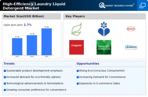 High Efficiency Laundry Liquid Detergent Market  Infographic