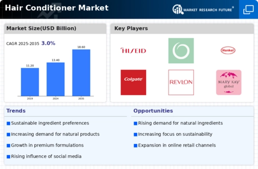 Hair Conditioner Market Infographic