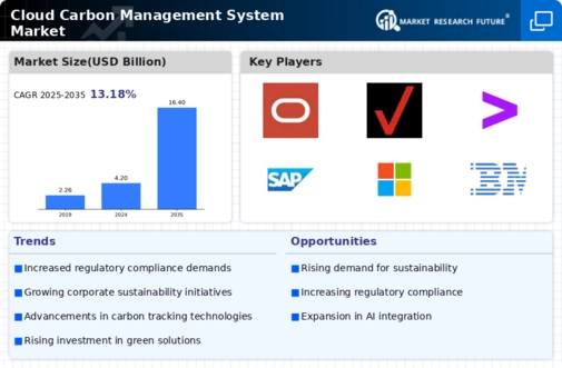 Cloud Carbon Management System Market Infographic