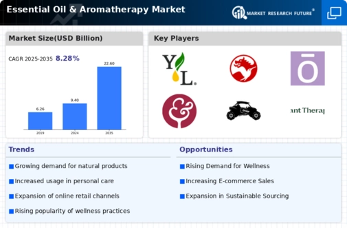 Essential Oil Aromatherapy Market Infographic