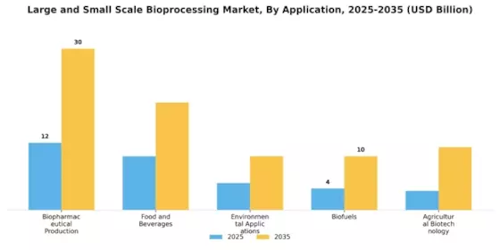Large and Small Scale Bioprocessing Market Segment Image 0