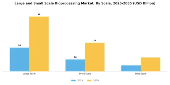 Large and Small Scale Bioprocessing Market Segment Image 1