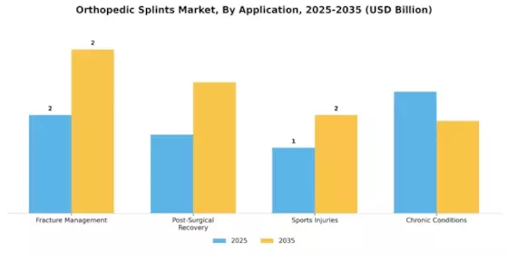 Orthopedic Splints Market Segment Image 2