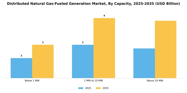 Distributed Natural Gas-Fueled Generation Market Segment Image 1