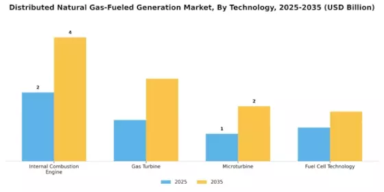 Distributed Natural Gas-Fueled Generation Market Segment Image 0