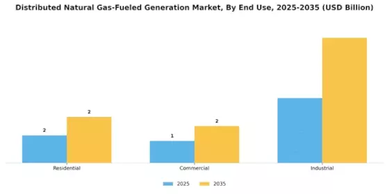 Distributed Natural Gas-Fueled Generation Market Segment Image 2