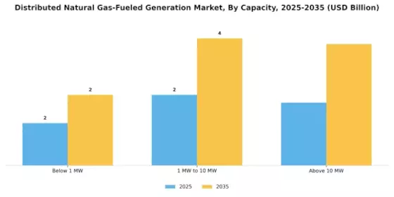 Distributed Natural Gas-Fueled Generation Market Segment Image 3