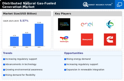 Distributed Natural Gas-Fueled Generation Market Infographic