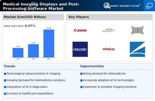 Medical Imaging Displays and Post-Processing Software Market Infographic